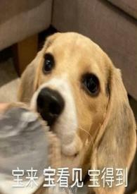 晨音之夏(男全处,nph)