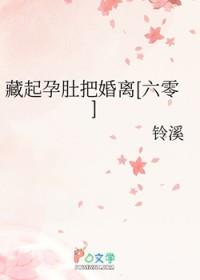 藏起孕肚把婚离[六零]